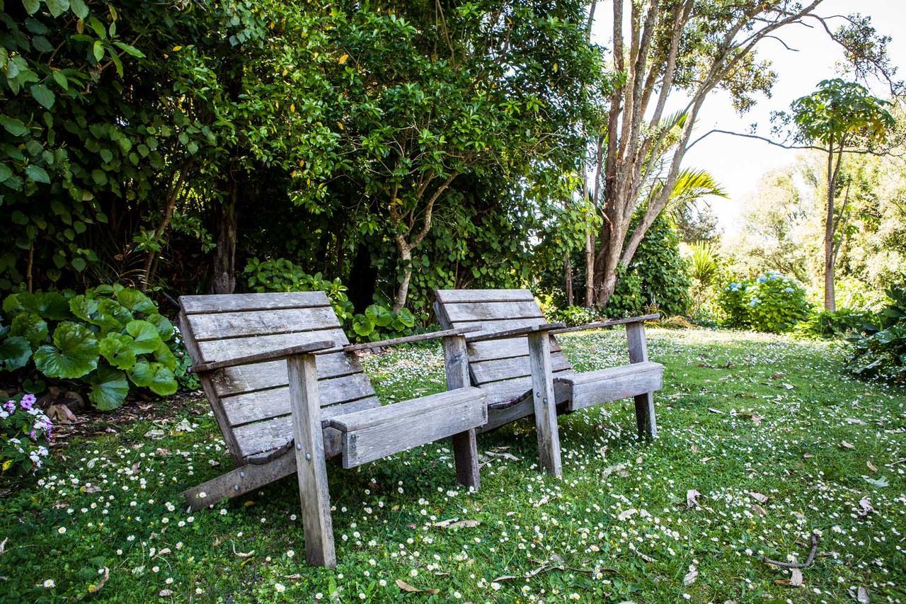 Amongst The Nikau Βίλα Waihi Εξωτερικό φωτογραφία